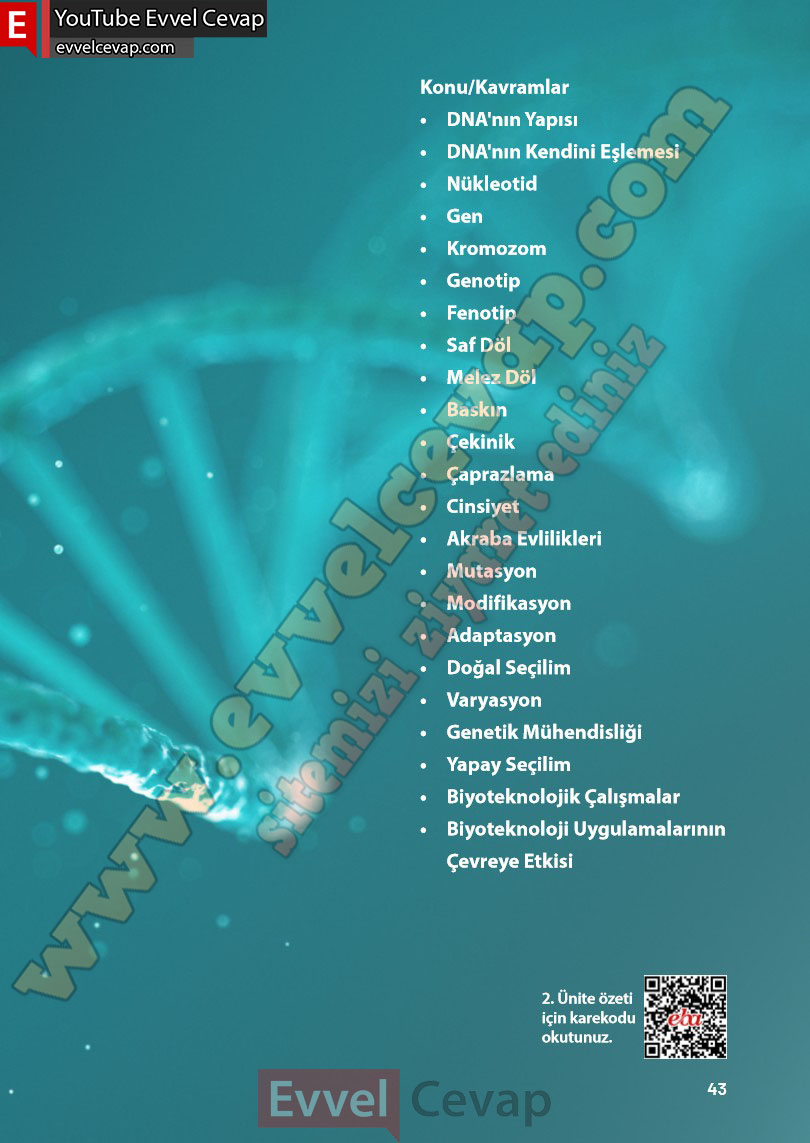 8-sinif-fen-bilimleri-ders-kitabi-cevabi-meb-yayinlari-sayfa-43