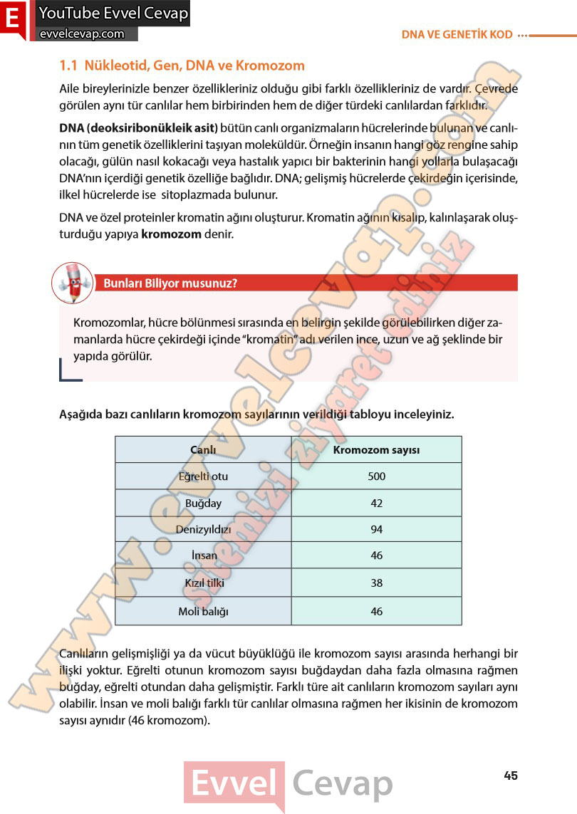 8-sinif-fen-bilimleri-ders-kitabi-cevabi-meb-yayinlari-sayfa-45