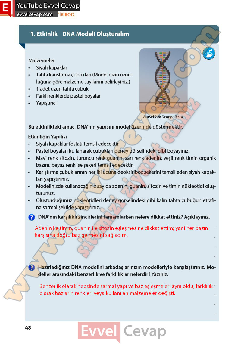8-sinif-fen-bilimleri-ders-kitabi-cevabi-meb-yayinlari-sayfa-48