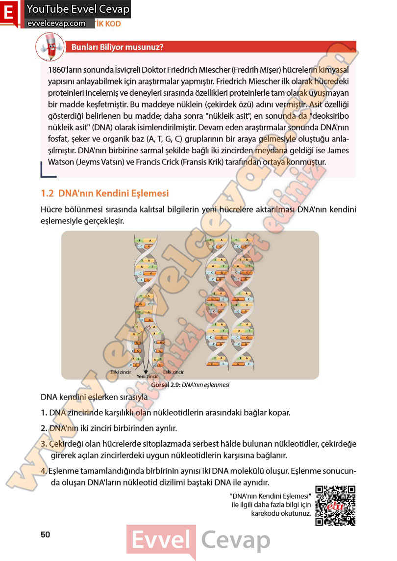 8-sinif-fen-bilimleri-ders-kitabi-cevabi-meb-yayinlari-sayfa-50