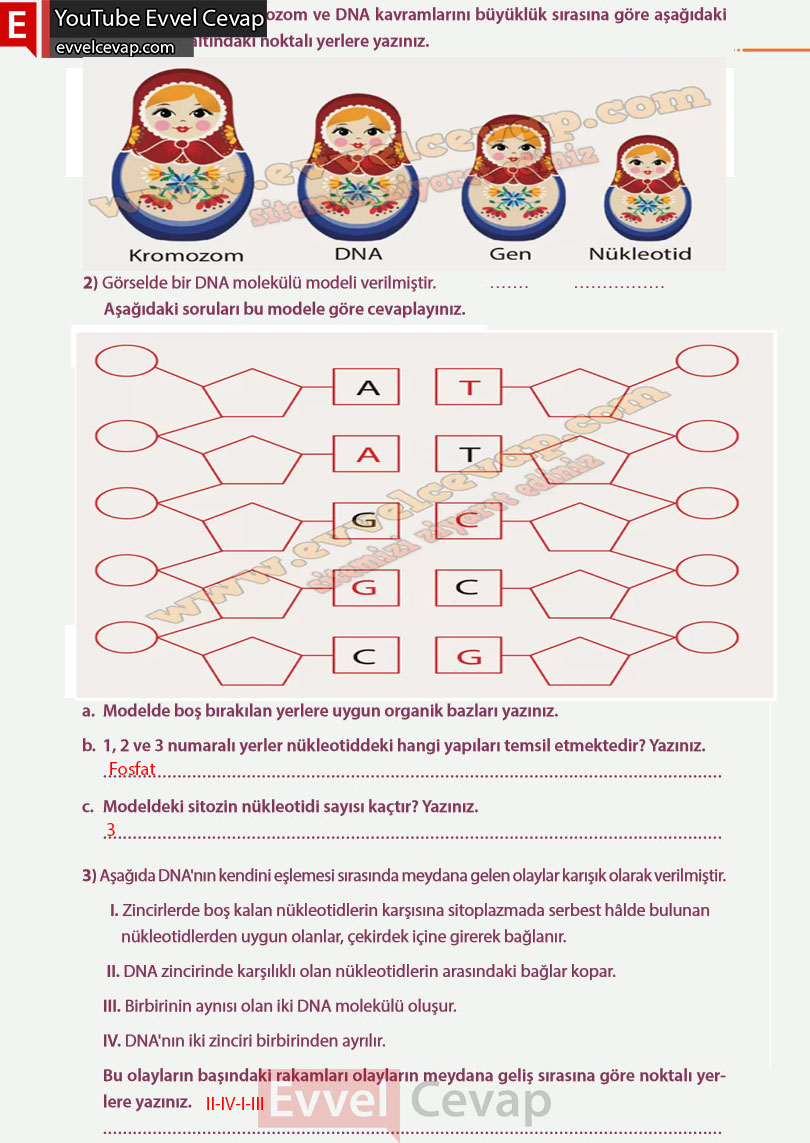 8-sinif-fen-bilimleri-ders-kitabi-cevabi-meb-yayinlari-sayfa-51