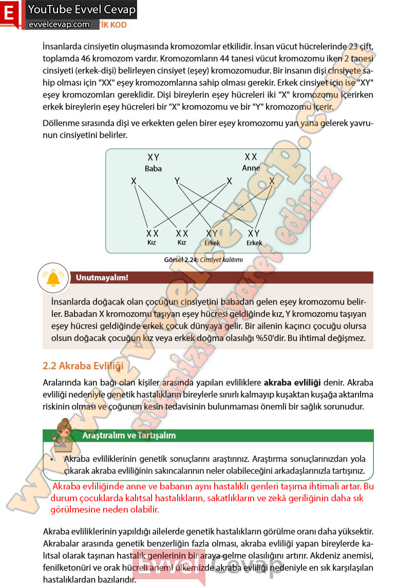 8-sinif-fen-bilimleri-ders-kitabi-cevabi-meb-yayinlari-sayfa-60