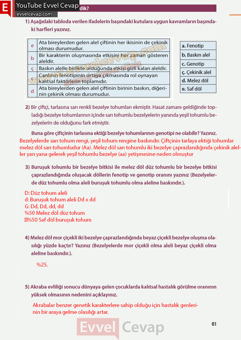 8-sinif-fen-bilimleri-ders-kitabi-cevabi-meb-yayinlari-sayfa-61