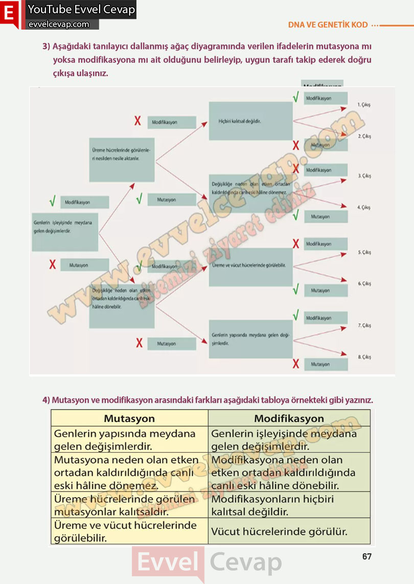 8-sinif-fen-bilimleri-ders-kitabi-cevabi-meb-yayinlari-sayfa-67