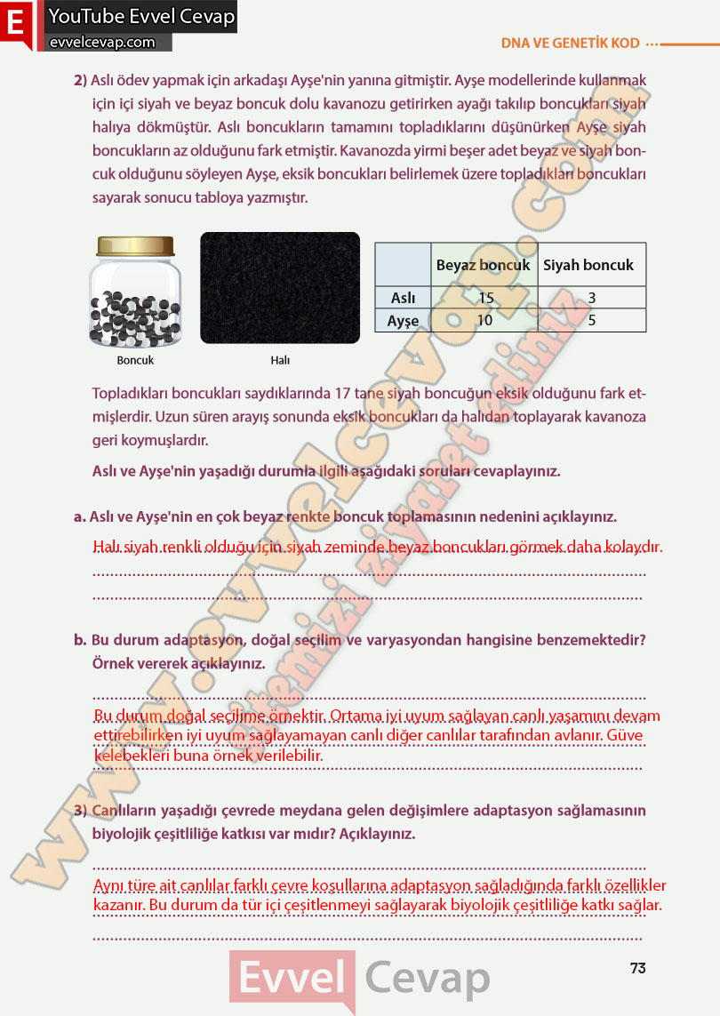 8-sinif-fen-bilimleri-ders-kitabi-cevabi-meb-yayinlari-sayfa-73