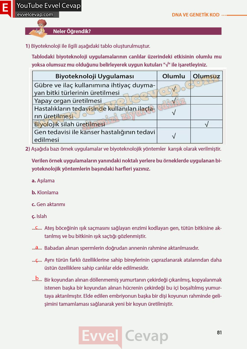 8-sinif-fen-bilimleri-ders-kitabi-cevabi-meb-yayinlari-sayfa-81