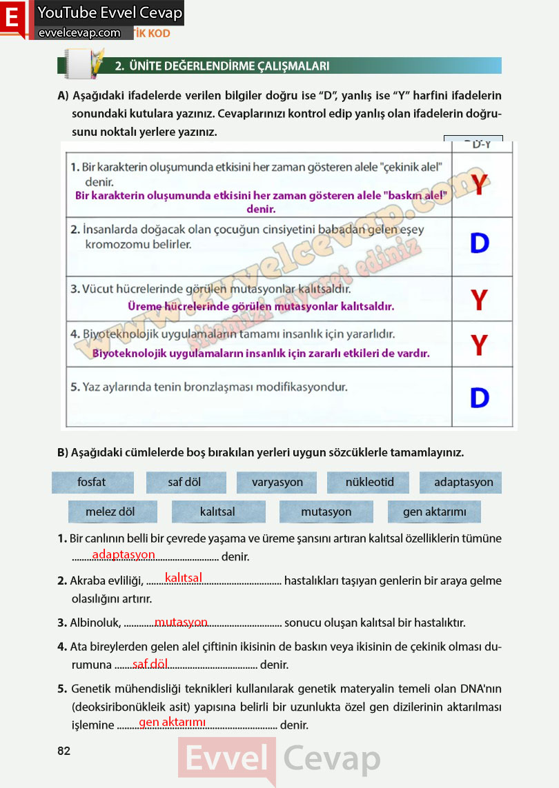 8-sinif-fen-bilimleri-ders-kitabi-cevabi-meb-yayinlari-sayfa-82