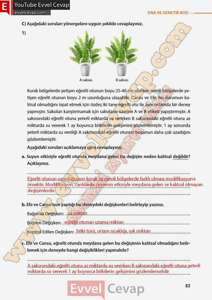 8-sinif-fen-bilimleri-ders-kitabi-cevabi-meb-yayinlari-sayfa-83