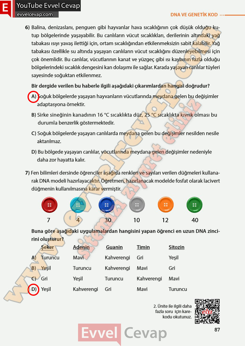 8-sinif-fen-bilimleri-ders-kitabi-cevabi-meb-yayinlari-sayfa-87