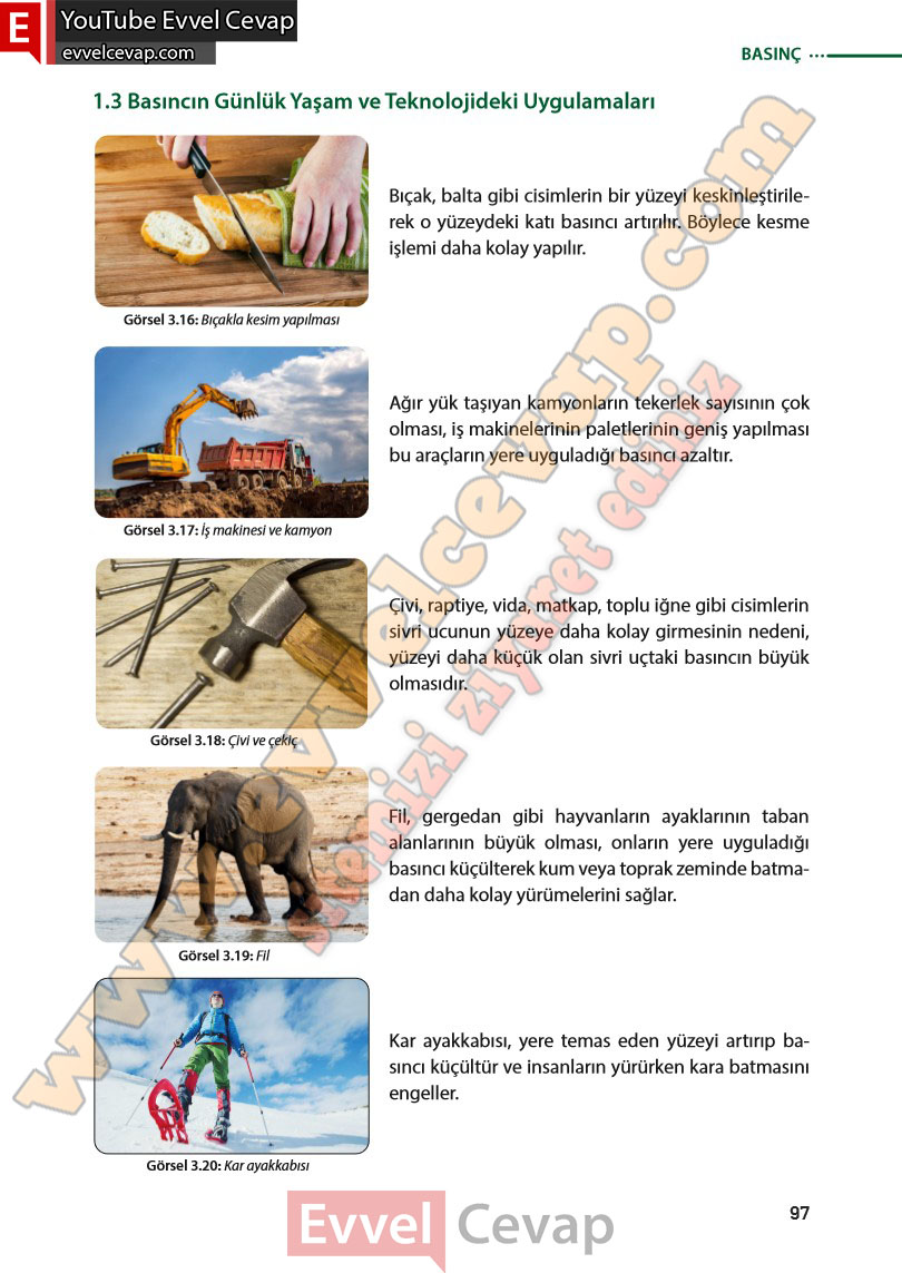 8-sinif-fen-bilimleri-ders-kitabi-cevabi-meb-yayinlari-sayfa-97