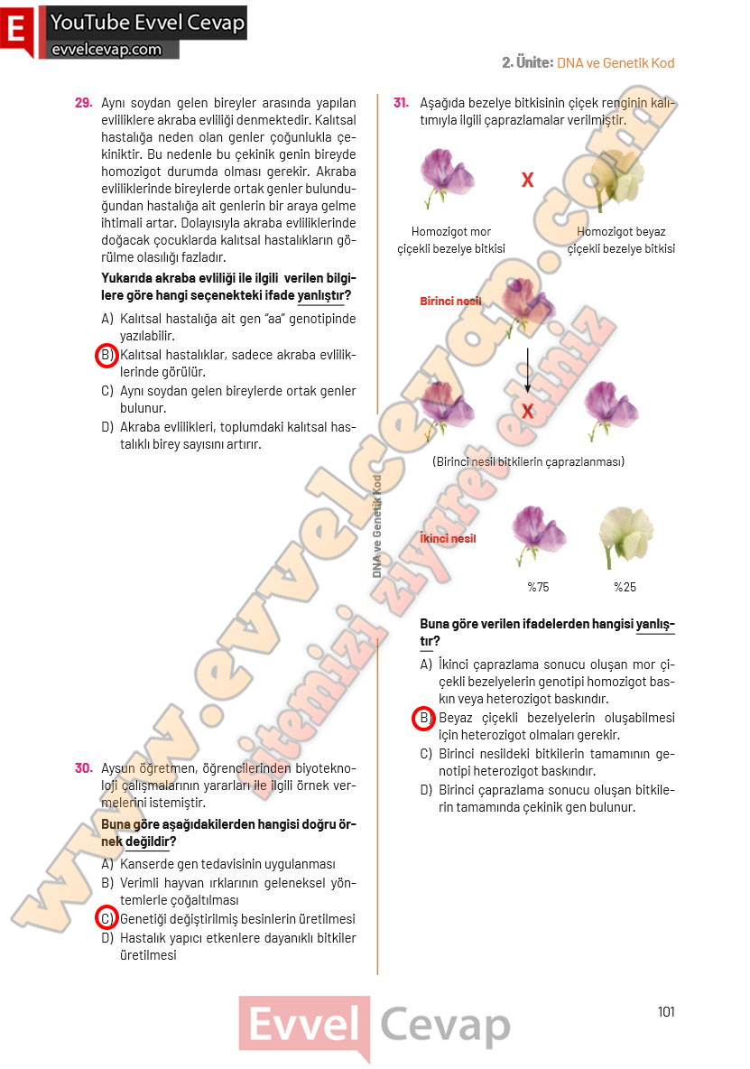8-sinif-fen-bilimleri-ders-kitabi-cevaplari-hecce-yayincilik-sayfa-101