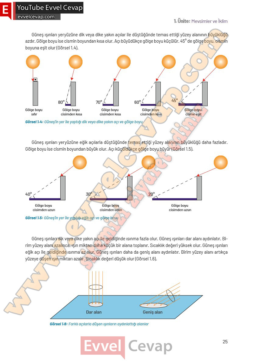8-sinif-fen-bilimleri-ders-kitabi-cevaplari-hecce-yayincilik-sayfa-25
