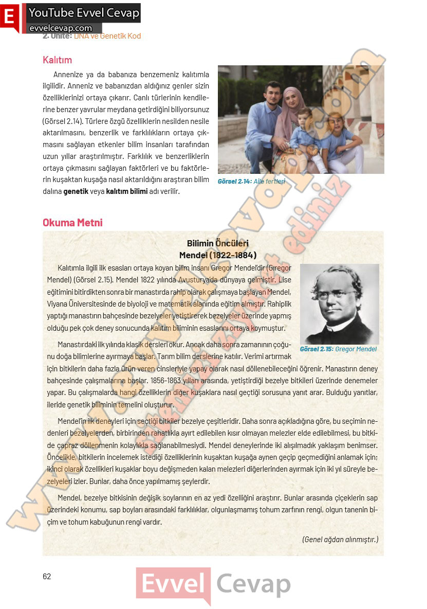 8-sinif-fen-bilimleri-ders-kitabi-cevaplari-hecce-yayincilik-sayfa-62