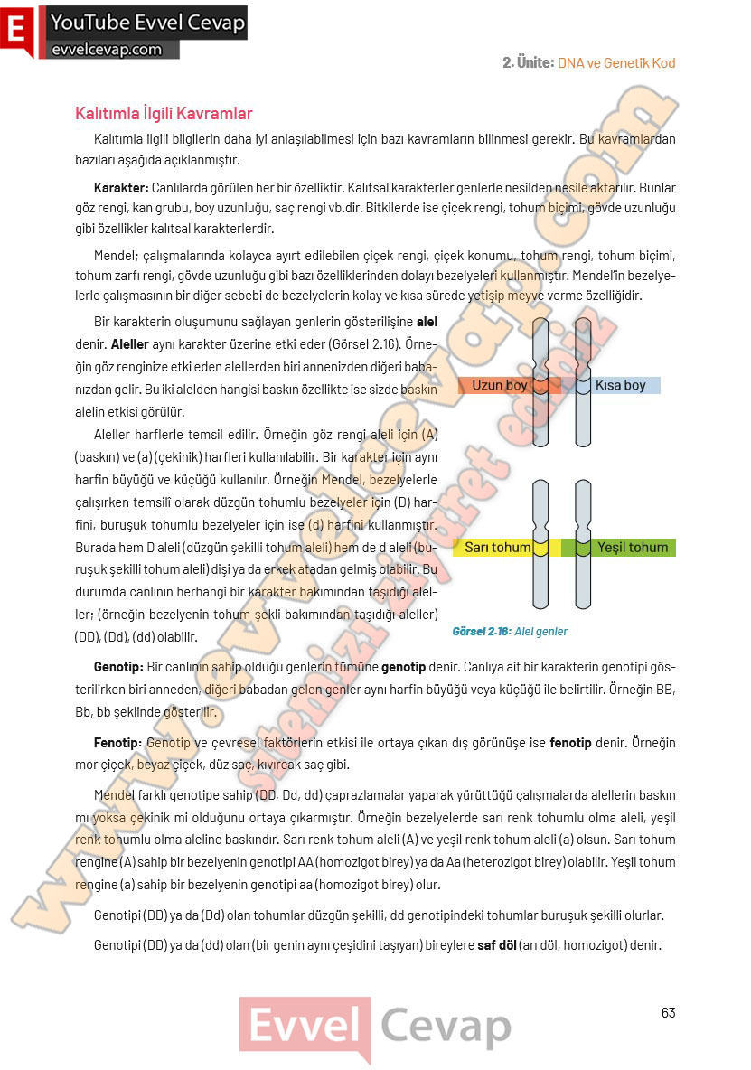 8-sinif-fen-bilimleri-ders-kitabi-cevaplari-hecce-yayincilik-sayfa-63