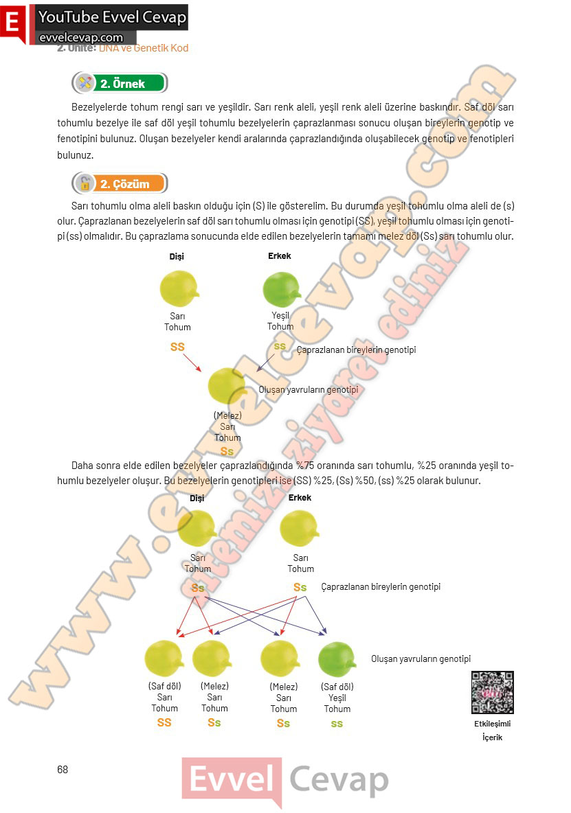 8-sinif-fen-bilimleri-ders-kitabi-cevaplari-hecce-yayincilik-sayfa-68