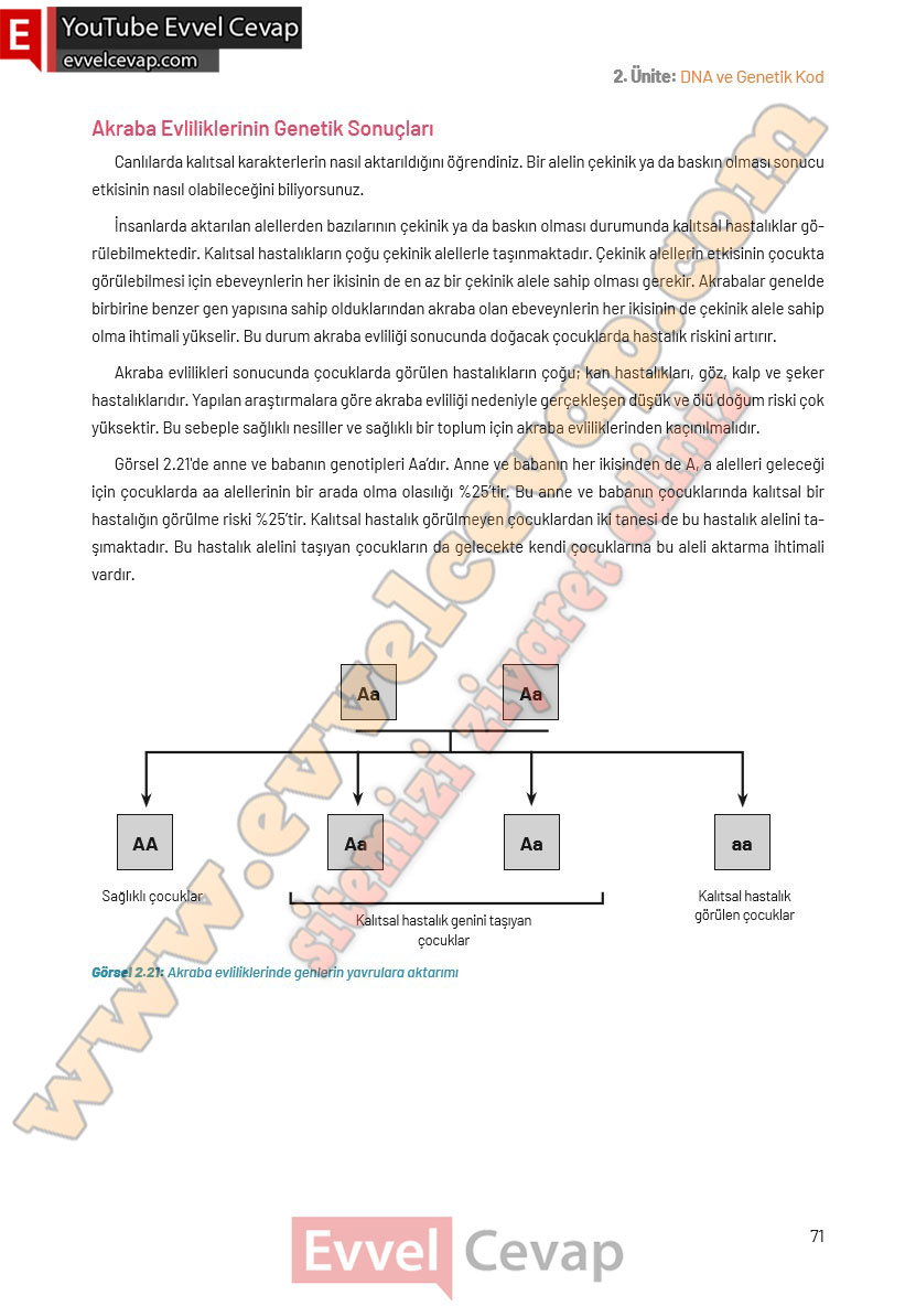 8-sinif-fen-bilimleri-ders-kitabi-cevaplari-hecce-yayincilik-sayfa-71