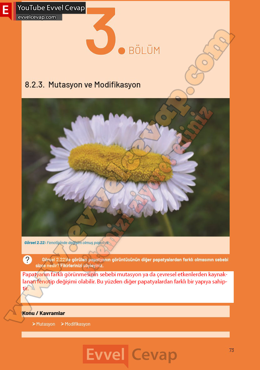 8-sinif-fen-bilimleri-ders-kitabi-cevaplari-hecce-yayincilik-sayfa-73