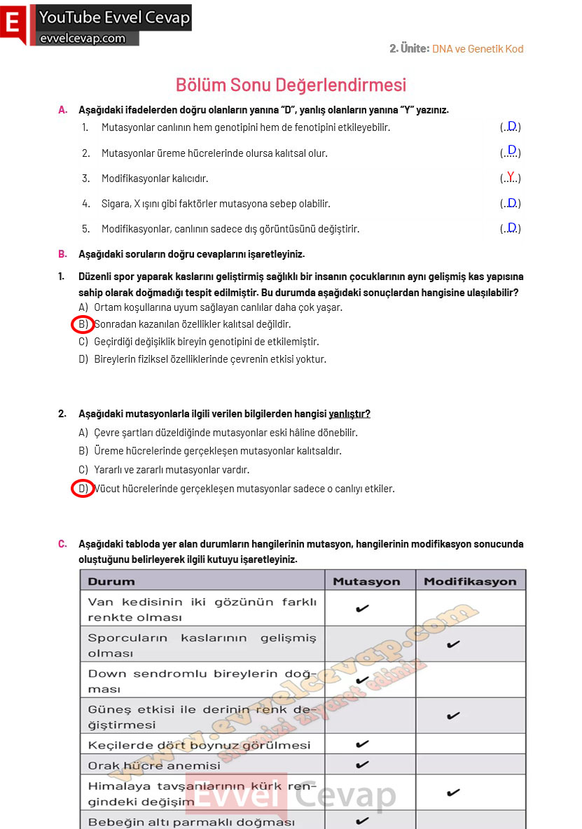 8-sinif-fen-bilimleri-ders-kitabi-cevaplari-hecce-yayincilik-sayfa-77