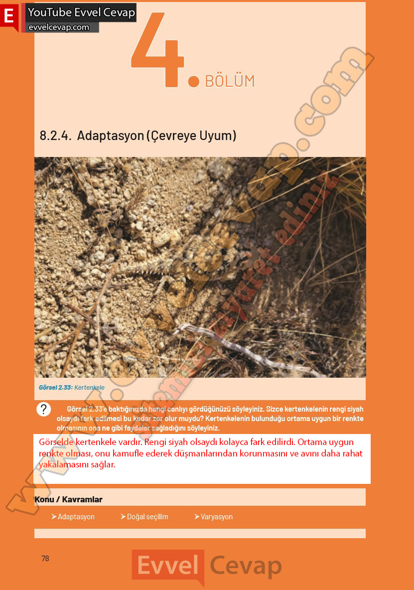 8-sinif-fen-bilimleri-ders-kitabi-cevaplari-hecce-yayincilik-sayfa-78
