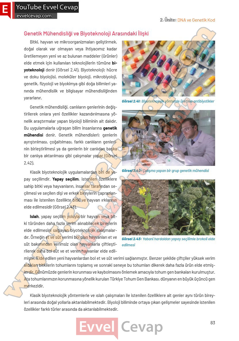 8-sinif-fen-bilimleri-ders-kitabi-cevaplari-hecce-yayincilik-sayfa-83