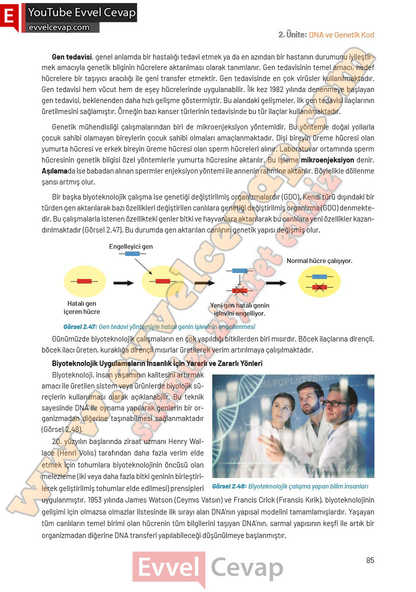 8-sinif-fen-bilimleri-ders-kitabi-cevaplari-hecce-yayincilik-sayfa-85
