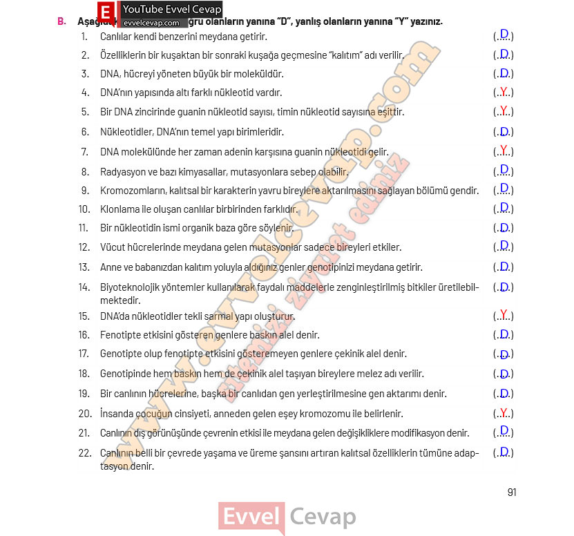 8-sinif-fen-bilimleri-ders-kitabi-cevaplari-hecce-yayincilik-sayfa-91-2