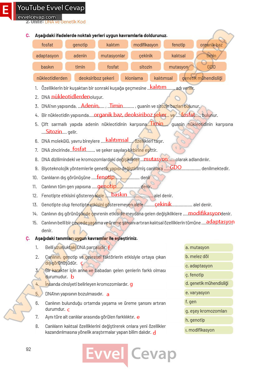 8-sinif-fen-bilimleri-ders-kitabi-cevaplari-hecce-yayincilik-sayfa-92