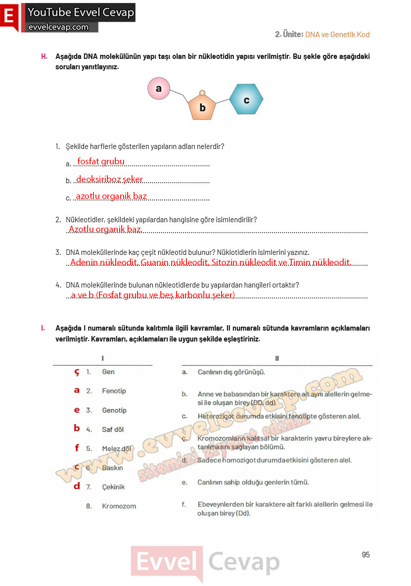 8-sinif-fen-bilimleri-ders-kitabi-cevaplari-hecce-yayincilik-sayfa-95