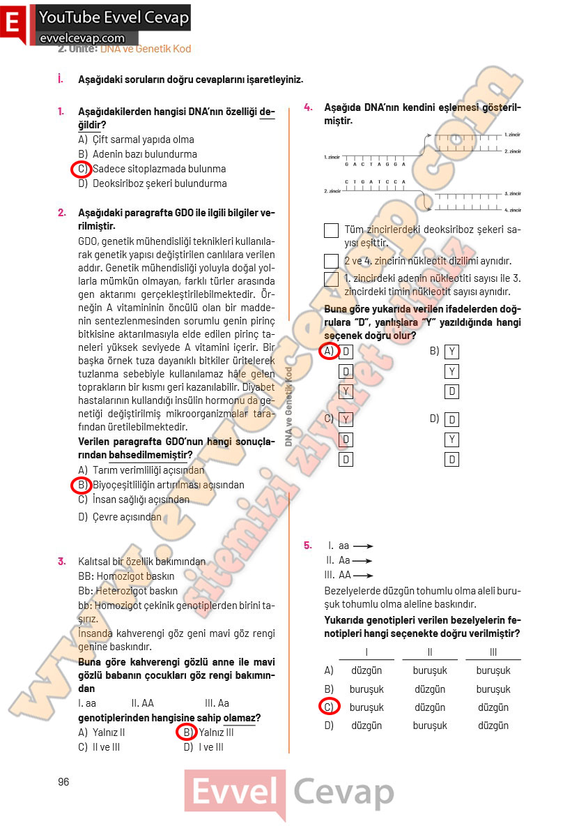 8-sinif-fen-bilimleri-ders-kitabi-cevaplari-hecce-yayincilik-sayfa-96