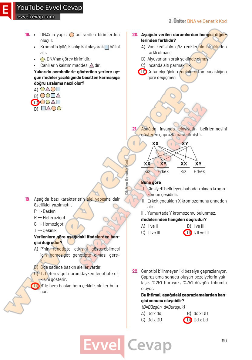 8-sinif-fen-bilimleri-ders-kitabi-cevaplari-hecce-yayincilik-sayfa-99