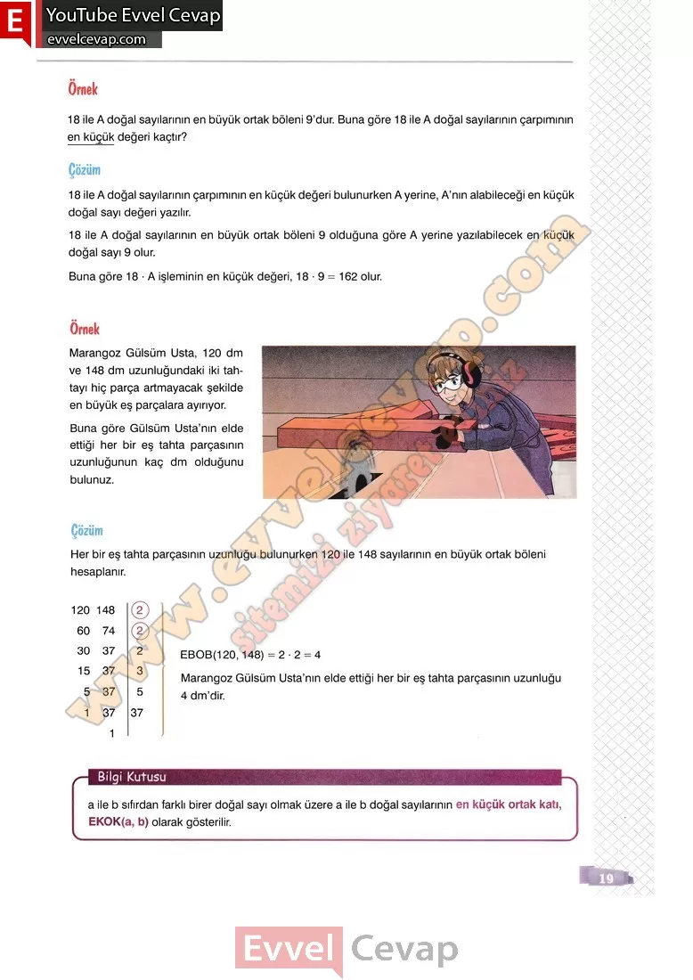8-sinif-matematik-ders-kitabi-cevabi-sonuc-yayinlari-sayfa-19