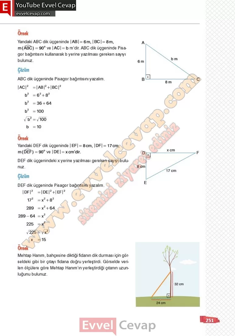 8-sinif-matematik-ders-kitabi-cevabi-sonuc-yayinlari-sayfa-251