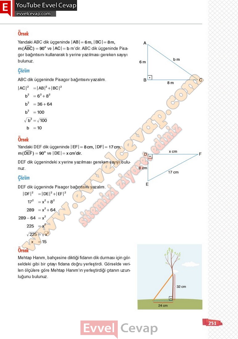 8-sinif-matematik-ders-kitabi-cevabi-sonuc-yayinlari-sayfa-251