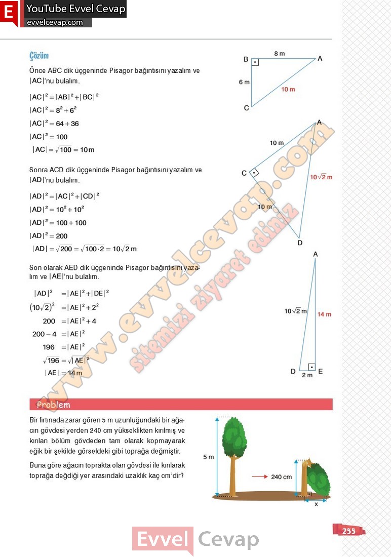 8-sinif-matematik-ders-kitabi-cevabi-sonuc-yayinlari-sayfa-255