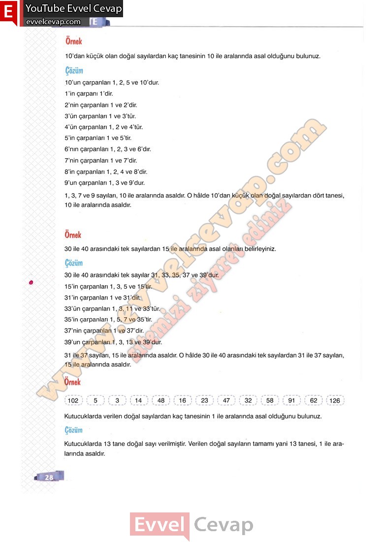 8-sinif-matematik-ders-kitabi-cevabi-sonuc-yayinlari-sayfa-28