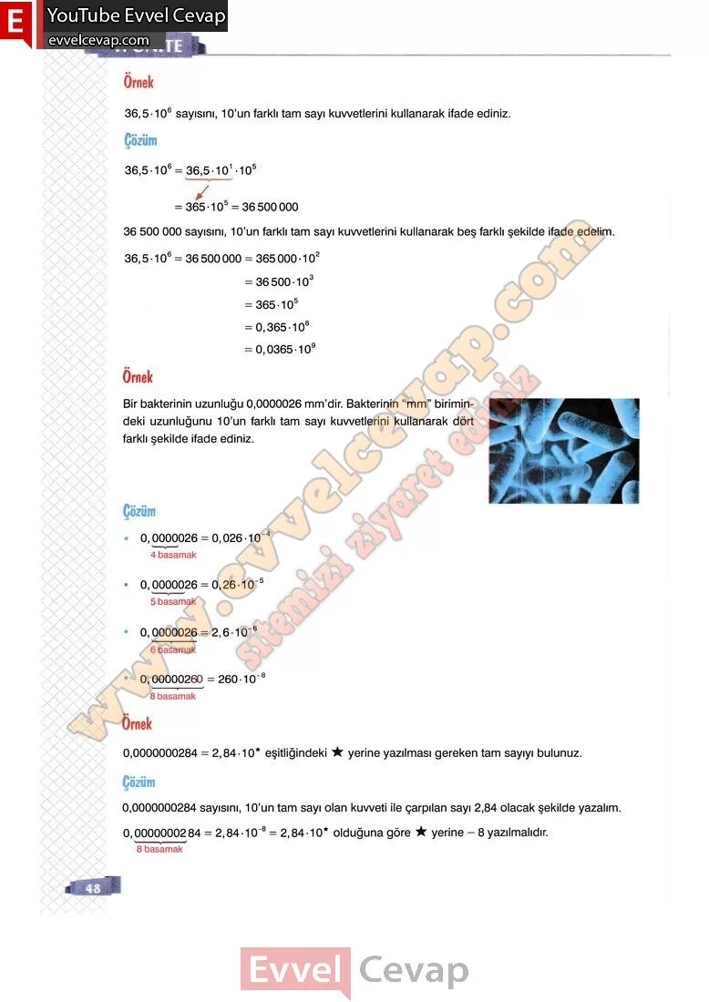8-sinif-matematik-ders-kitabi-cevabi-sonuc-yayinlari-sayfa-48