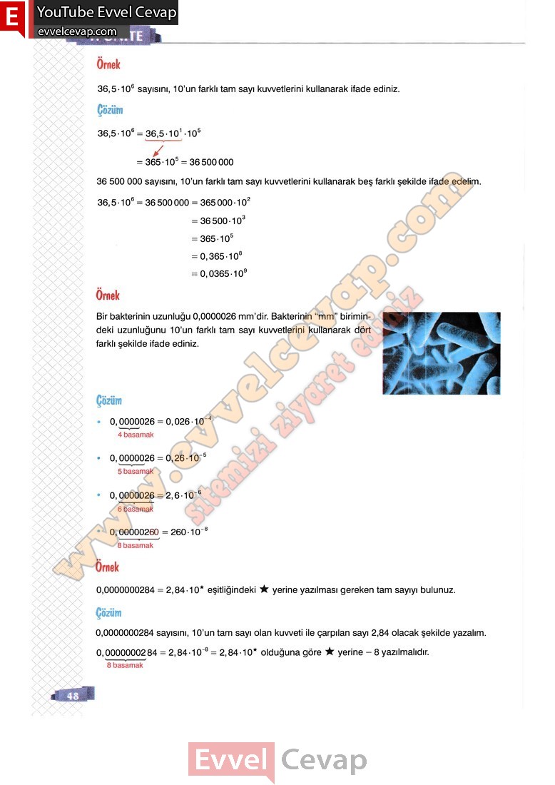 8-sinif-matematik-ders-kitabi-cevabi-sonuc-yayinlari-sayfa-48