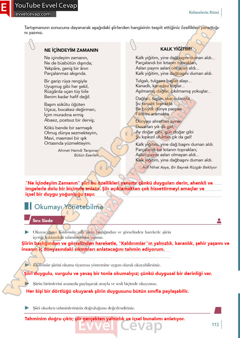 10-sinif-turk-dili-ve-edebiyati-ders-kitabi-meb-yayinlari-cevabi-sayfa-113