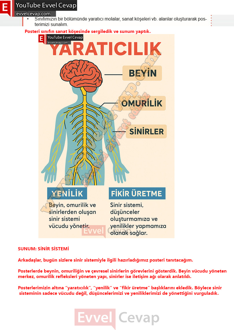 6-sinif-fen-bilimleri-ders-kitabi-cevabi-meb-yayinlari-1-kitap-sayfa-111-2