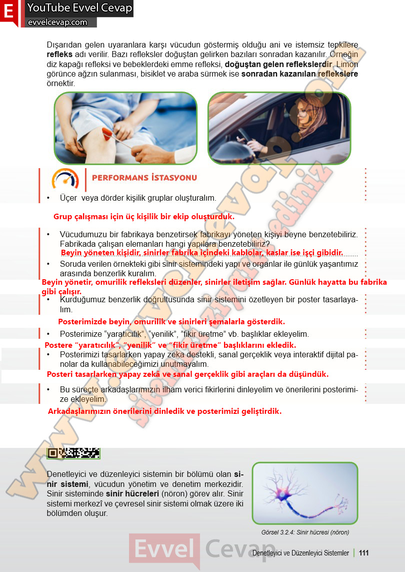 6-sinif-fen-bilimleri-ders-kitabi-cevabi-meb-yayinlari-1-kitap-sayfa-111