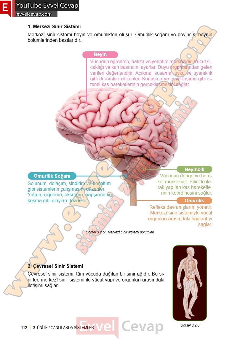 6-sinif-fen-bilimleri-ders-kitabi-cevabi-meb-yayinlari-1-kitap-sayfa-112