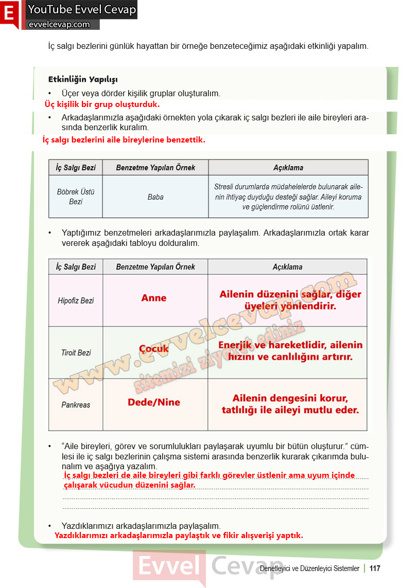 6-sinif-fen-bilimleri-ders-kitabi-cevabi-meb-yayinlari-1-kitap-sayfa-117