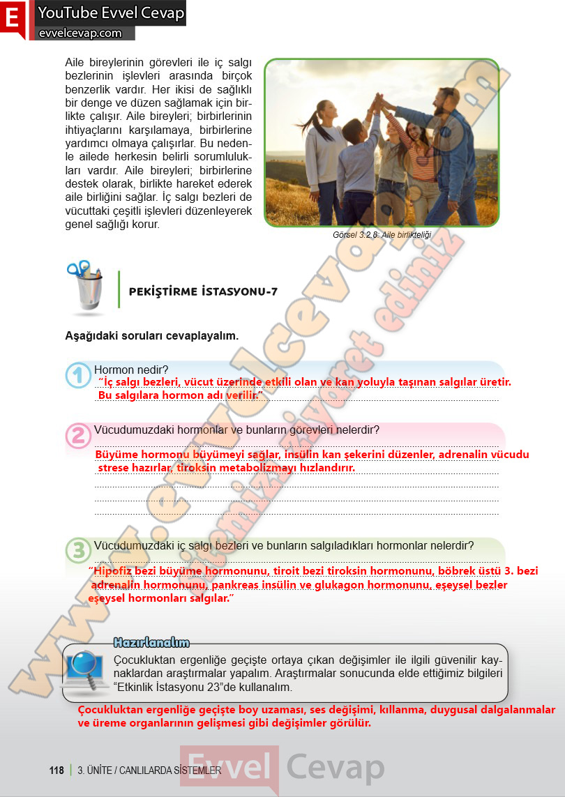 6-sinif-fen-bilimleri-ders-kitabi-cevabi-meb-yayinlari-1-kitap-sayfa-118