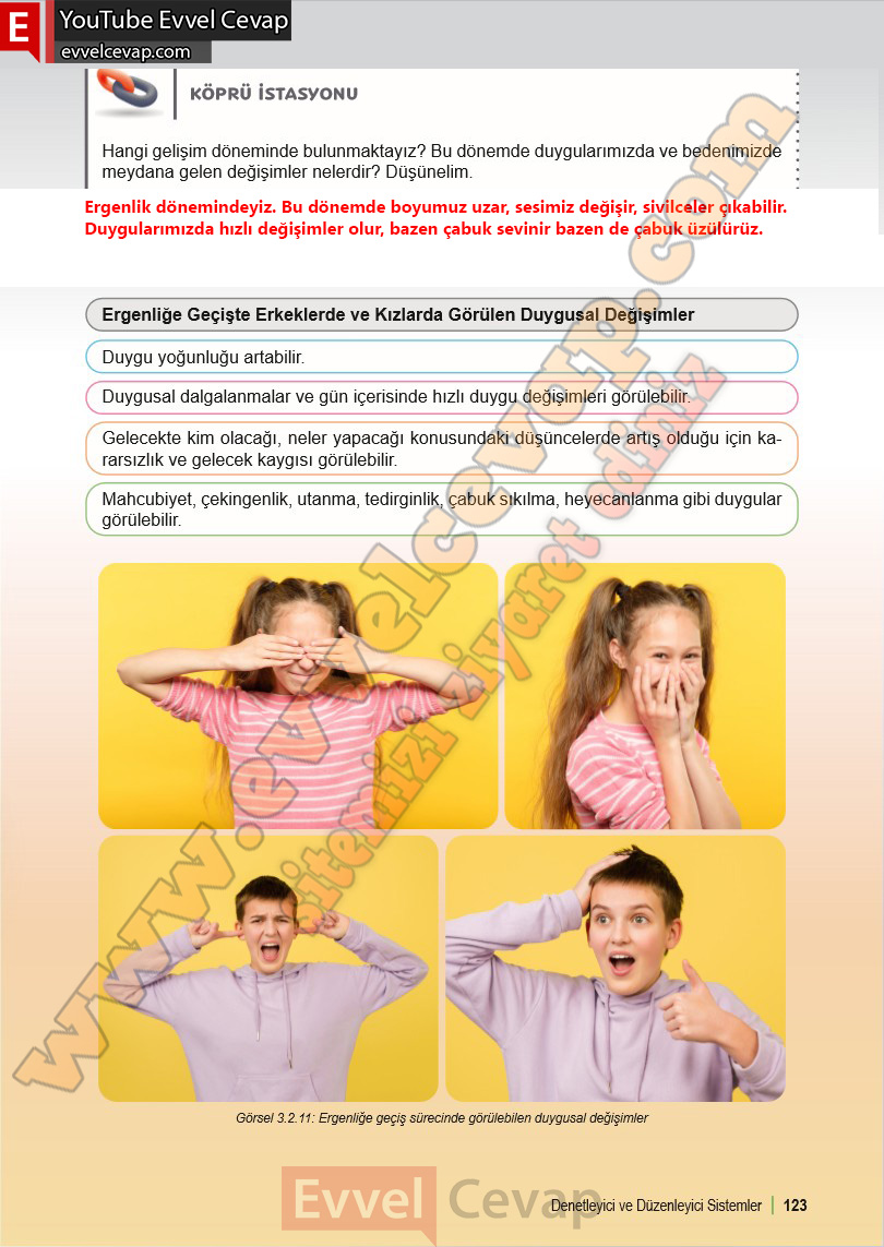 6-sinif-fen-bilimleri-ders-kitabi-cevabi-meb-yayinlari-1-kitap-sayfa-123