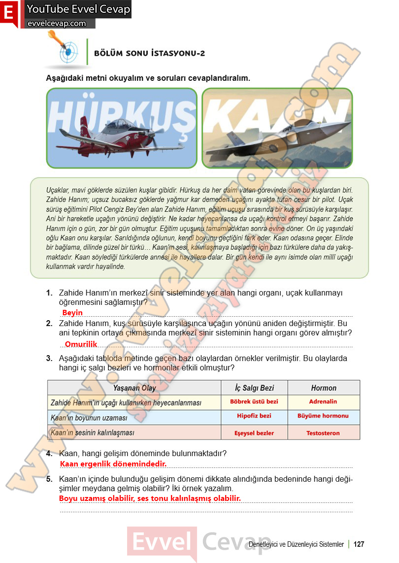 6-sinif-fen-bilimleri-ders-kitabi-cevabi-meb-yayinlari-1-kitap-sayfa-127