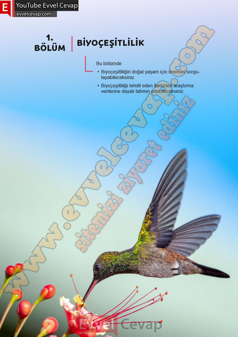 6-sinif-fen-bilimleri-ders-kitabi-cevabi-meb-yayinlari-2-kitap-sayfa-100