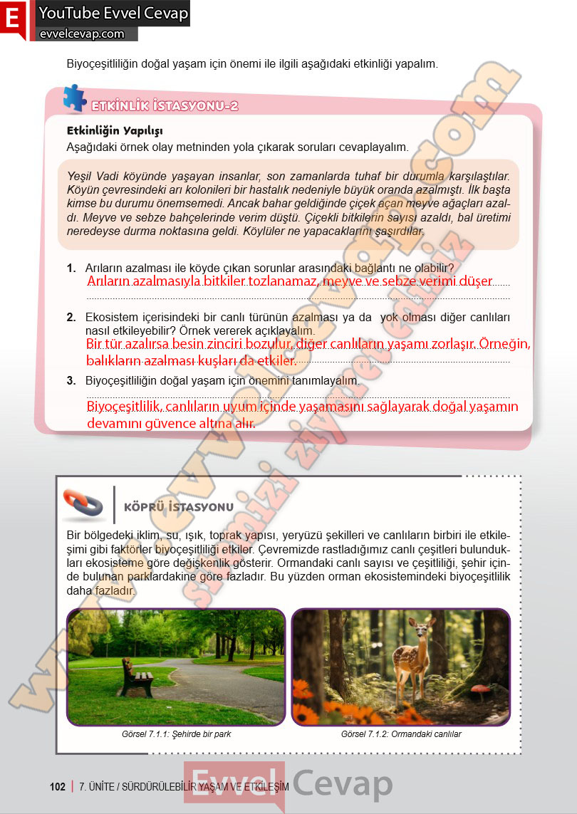 6-sinif-fen-bilimleri-ders-kitabi-cevabi-meb-yayinlari-2-kitap-sayfa-102