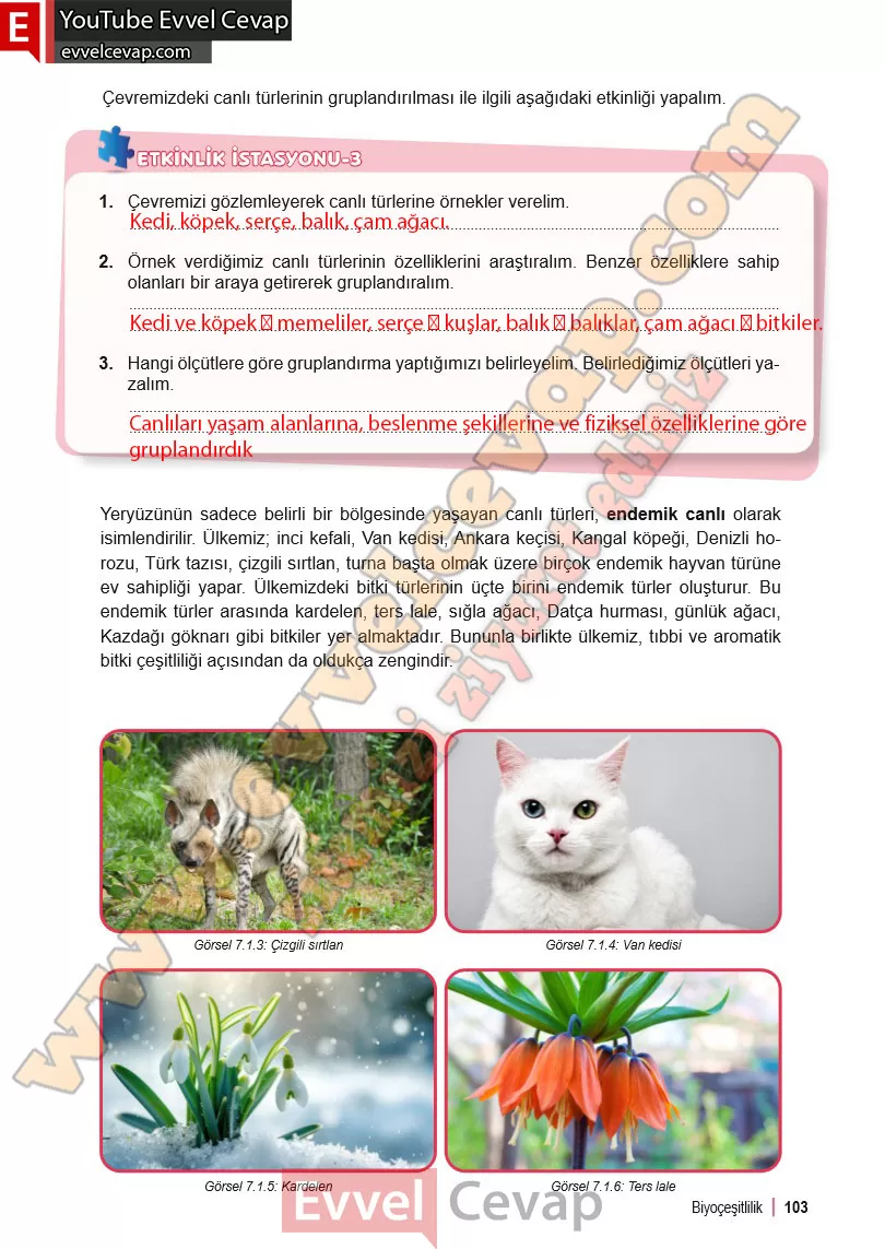 6-sinif-fen-bilimleri-ders-kitabi-cevabi-meb-yayinlari-2-kitap-sayfa-103