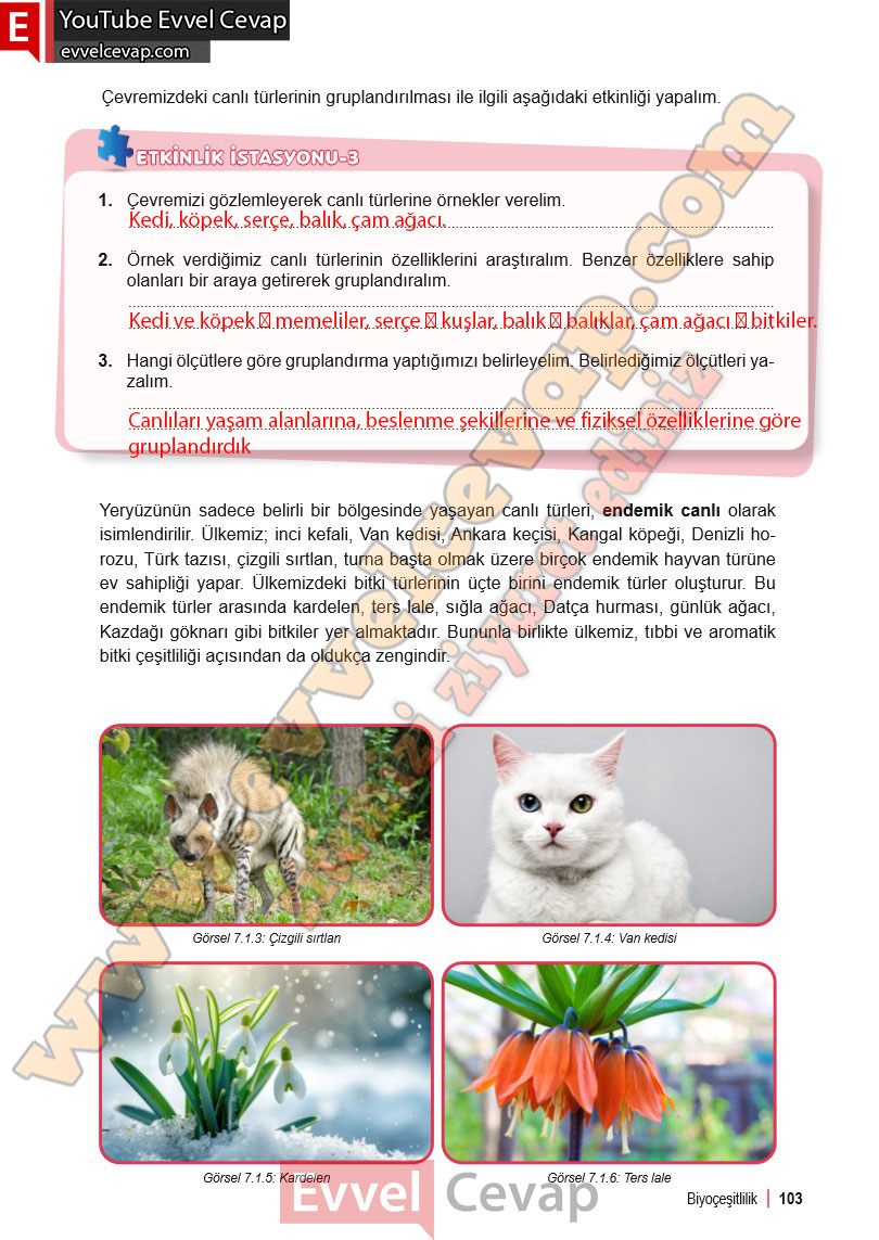 6-sinif-fen-bilimleri-ders-kitabi-cevabi-meb-yayinlari-2-kitap-sayfa-103