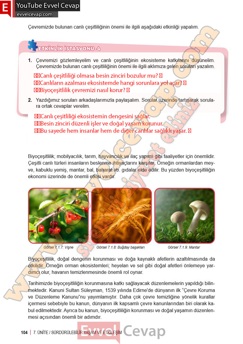 6-sinif-fen-bilimleri-ders-kitabi-cevabi-meb-yayinlari-2-kitap-sayfa-104